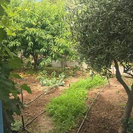 Estanco Viejo Country house La Concepcion